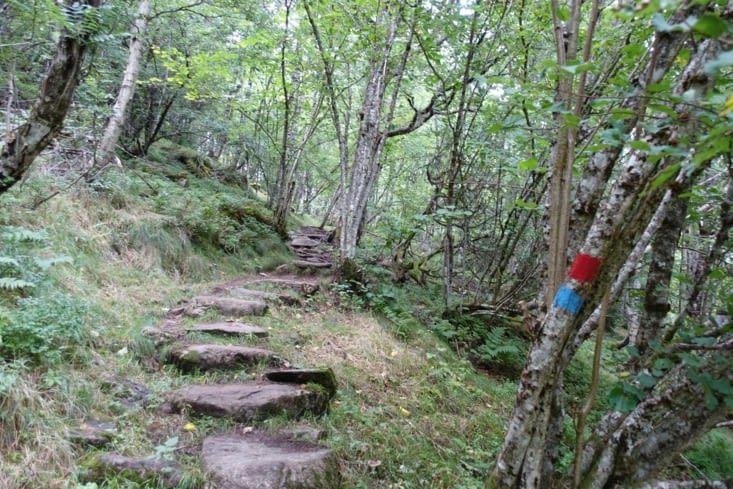 De la marche dans les bois au dessus de Balestrand