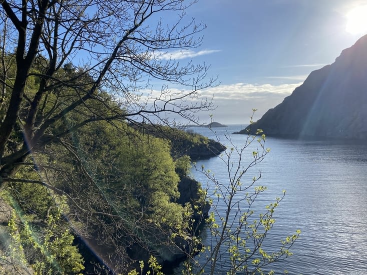 N’est-ce pas formidable de terminer la journée seuls à l’embouchure d’un fjord ?