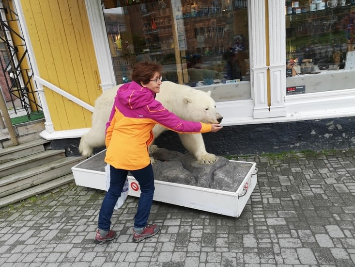 Rappel: il est interdit de nourrir les animaux, ours polaires compris