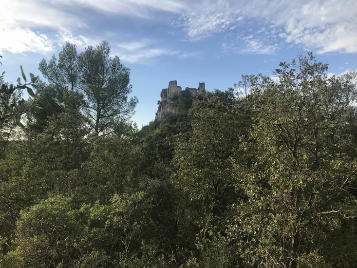 Château en ruines de Vins-sur-Caramy