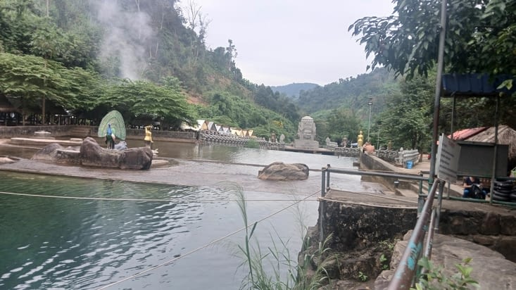 Piscine pour les locaux