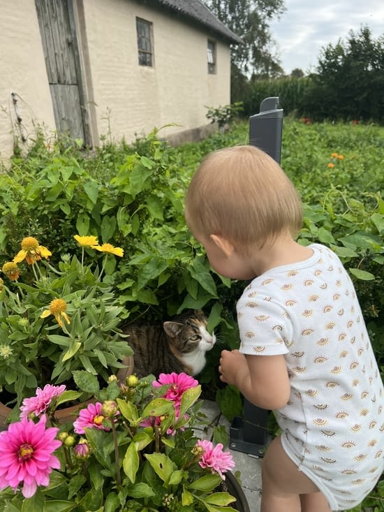 Rencontre avec le chat de la maison Mio