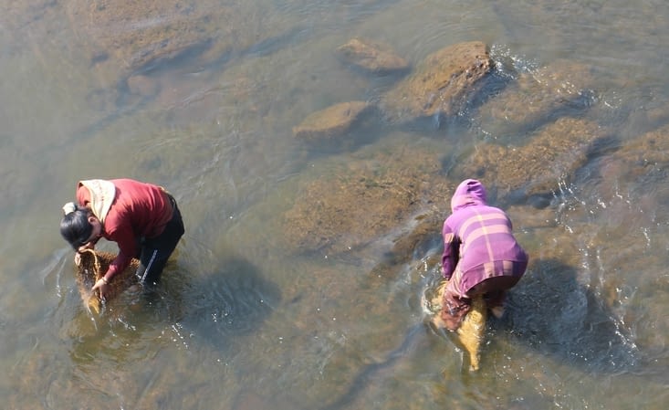 Deux femmes pêchent de petits poissons à l'aide de paniers en forme de cônes.