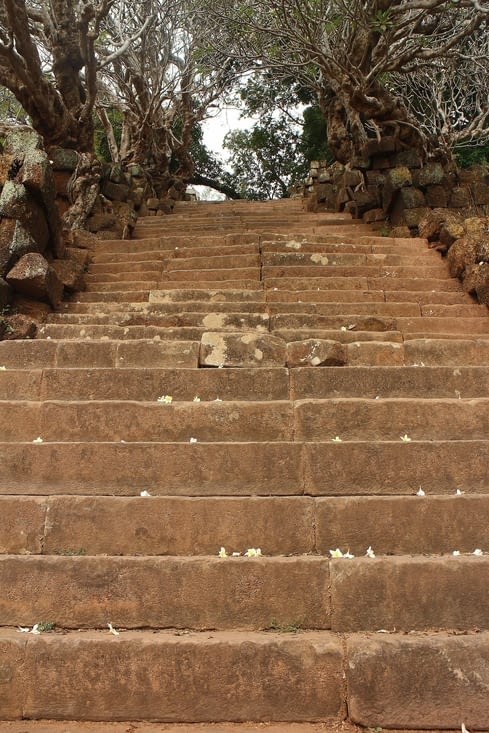 Un des escaliers de géant qu'il faut escalader