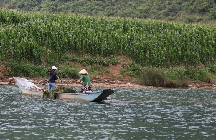 une barque de pêcheurs sur la rivière