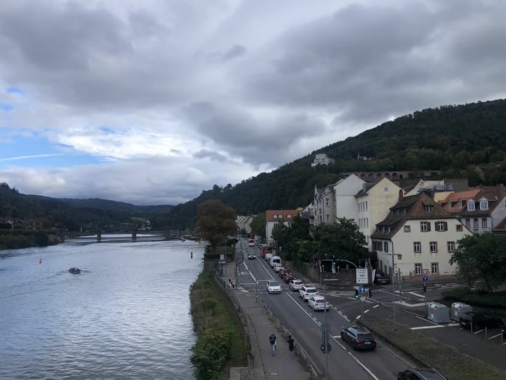 Heidelberg et le Neckar