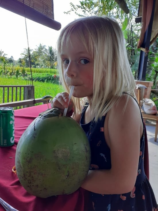 Noix de coco verte pour Zezouille