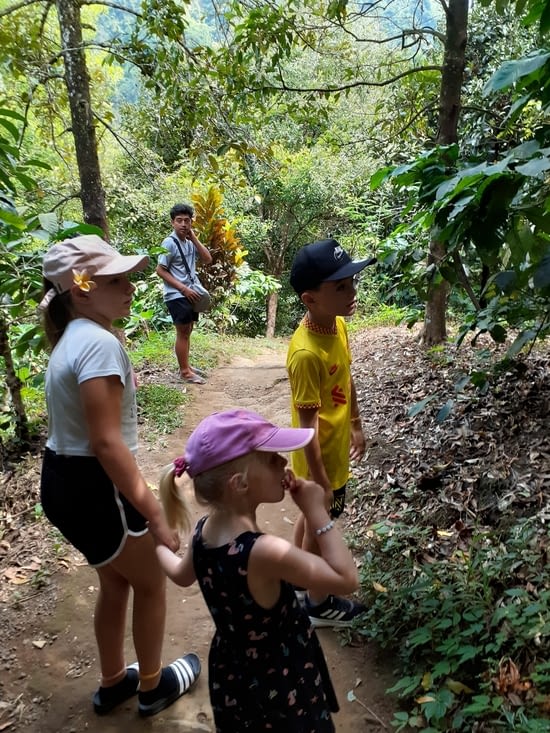 Chemin de debut de descente