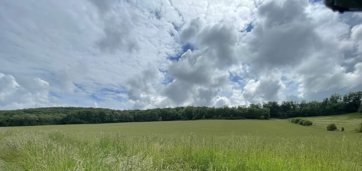 Du foin jusqu’à la lisière des bois.