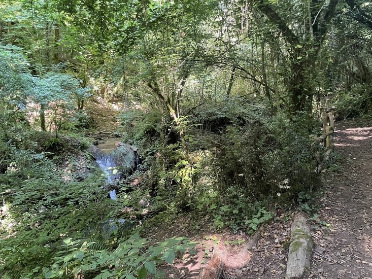 Une petite cascade en descendant dans le talweg ombragé qui me conduira à Sutri