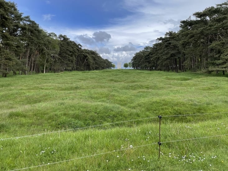 Une bande de terrain est restée en l’état depuis la fin des combats.