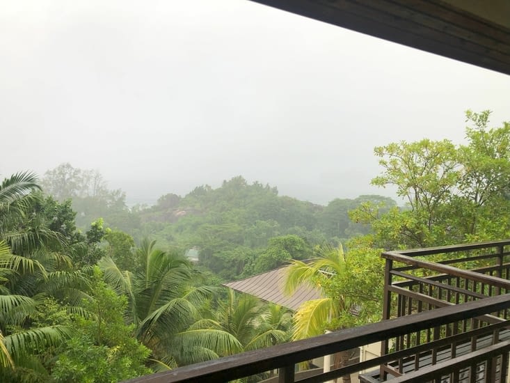 7h, réveil sous la mélodie des gouttes de pluie sur les palmiers 🌴