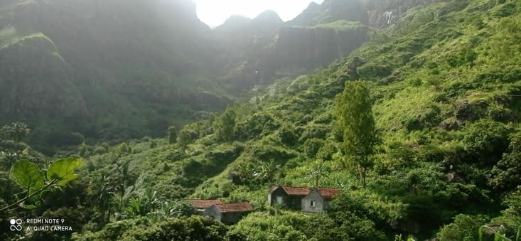 Vue du milieu du parc