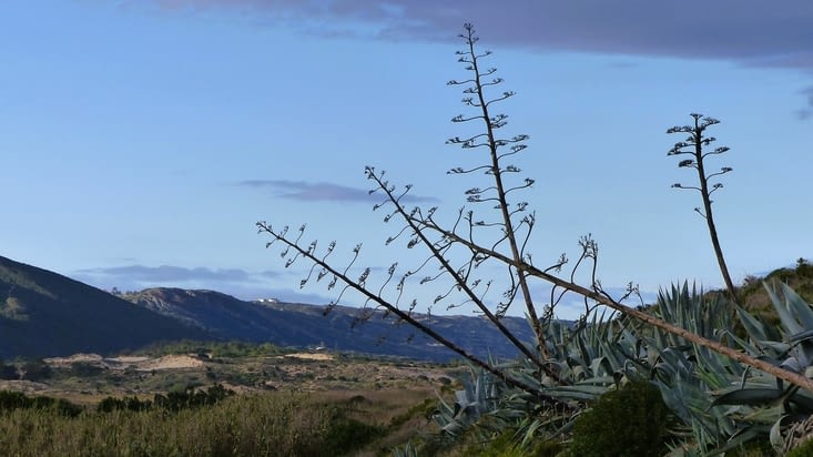 Plus vallonné et plus sauvage que le Portugal du Nord 👍