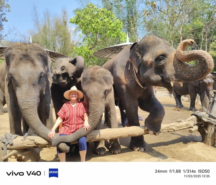 Câlin des éléphants avec Évelyne