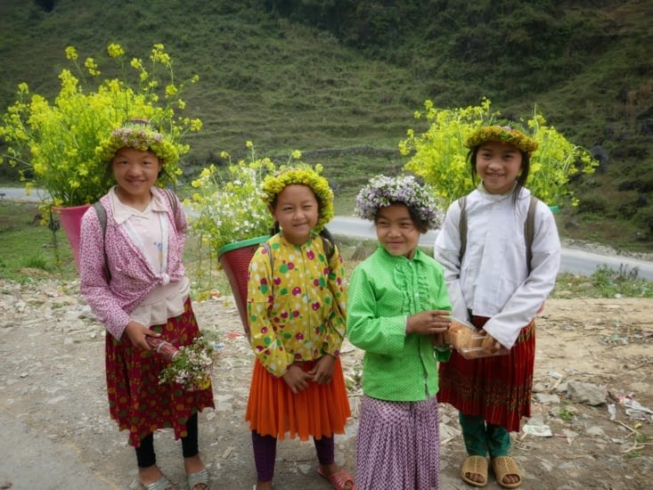Hmong Fleur
