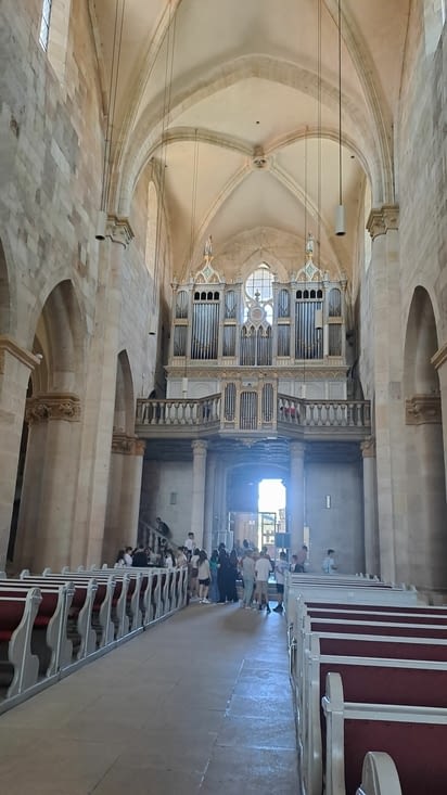 Les orgues de la cathédrale