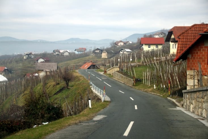 Les préalpes slovènes sont connues pour la culture de la vigne.