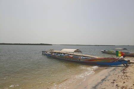 Journée au Sine Saloum