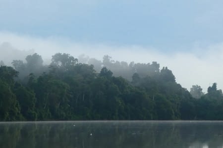 Kinabatangan river