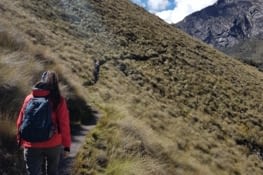 Santa Cruz trek, day 2:  Sophie en pleine action !