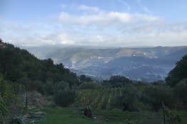 Collines de Ligurie