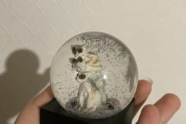 The souvenir my brother offered to me. He knows that I am a huge fan of snow globes !