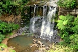 Mokoroa Falls