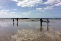 les pêcheurs à marée basse