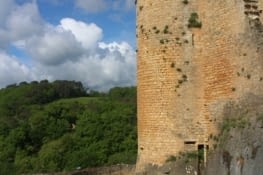 Belle promenade en perspective