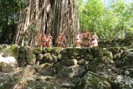 Danseurs au pied d'un banian