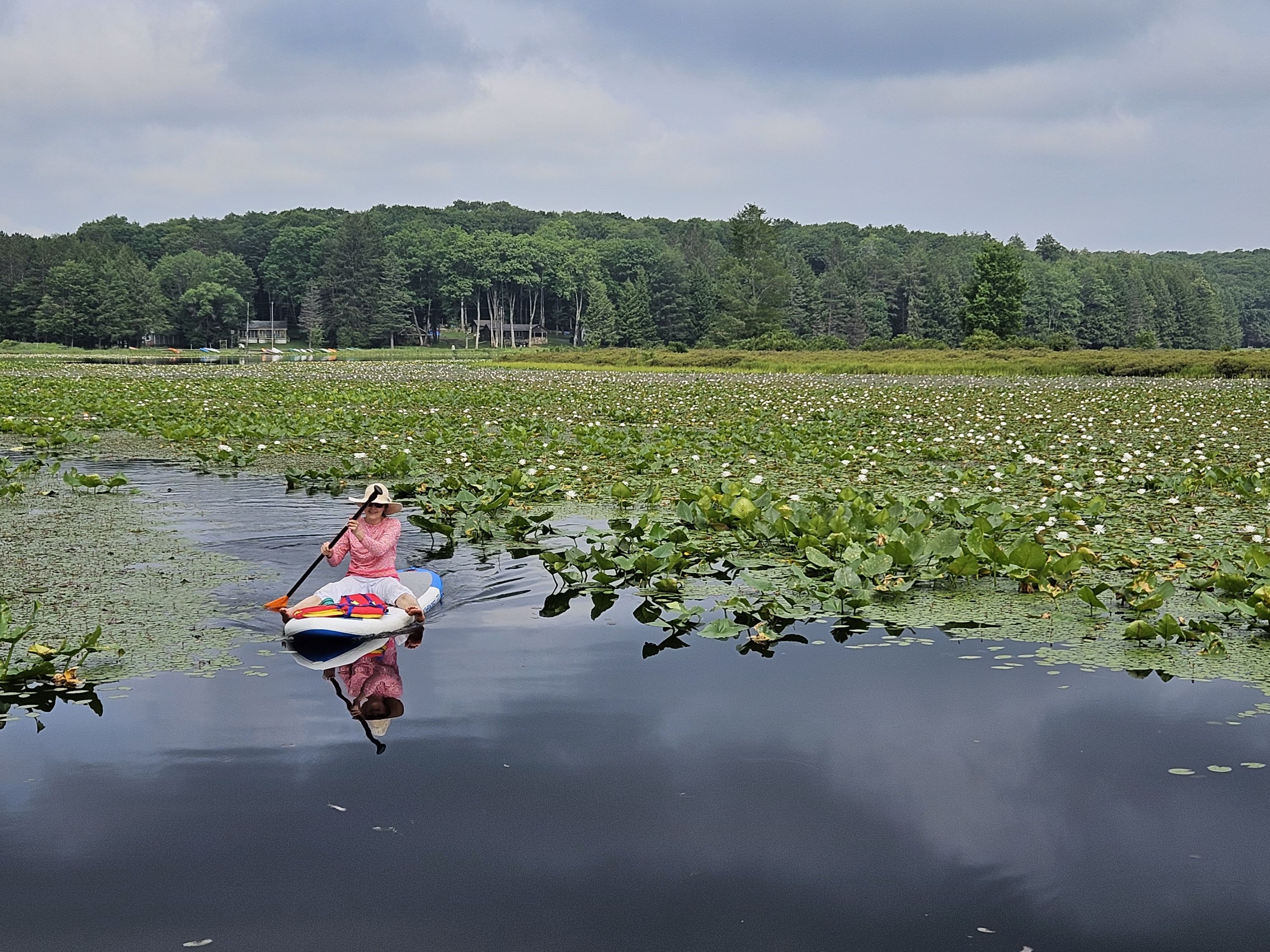 Blog de voyage aux États-Unis - Traversée de la Moshannon state forest