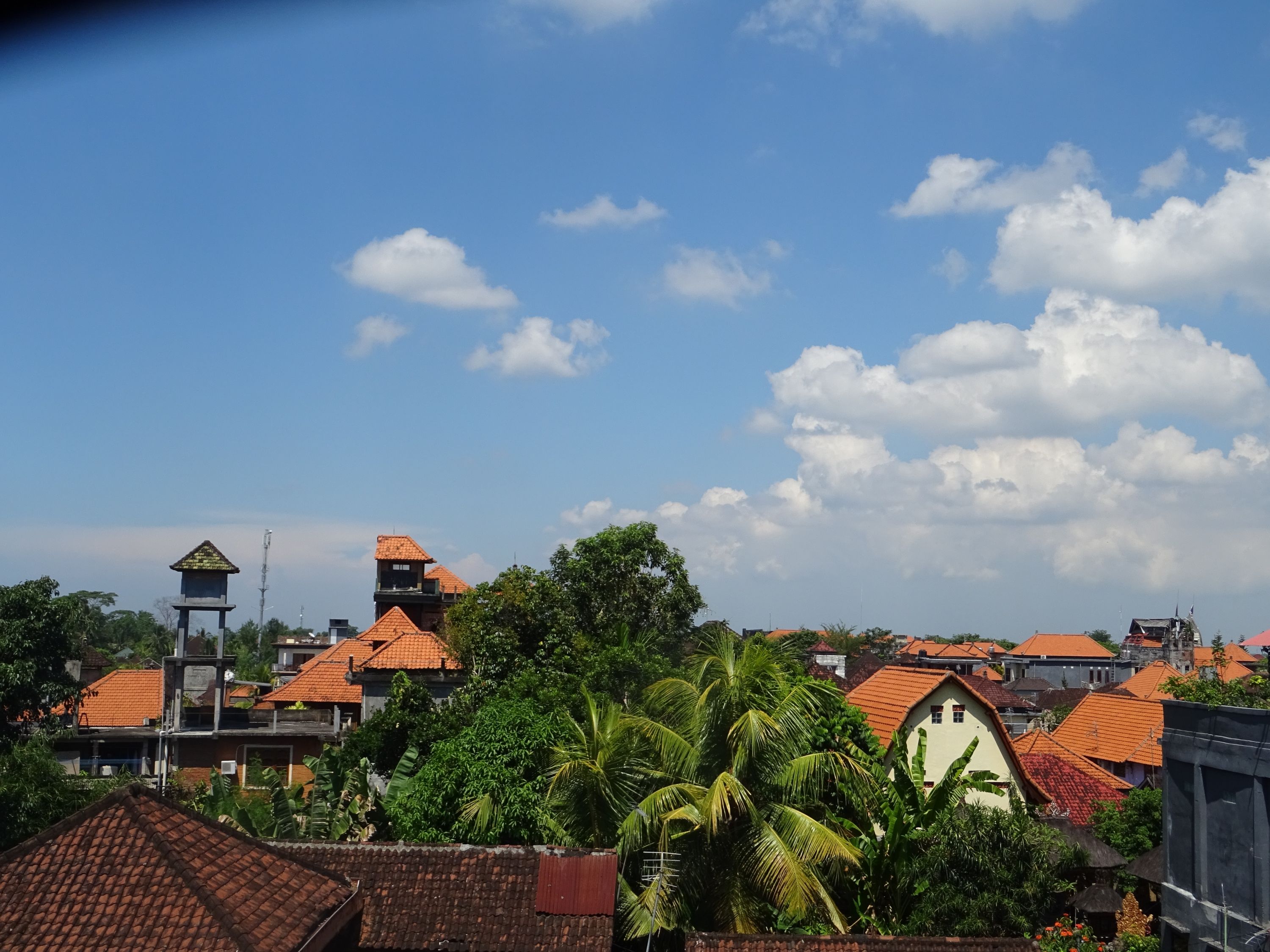  Blog  de voyage  en Indon sie Ubud  tout simplement magnifique